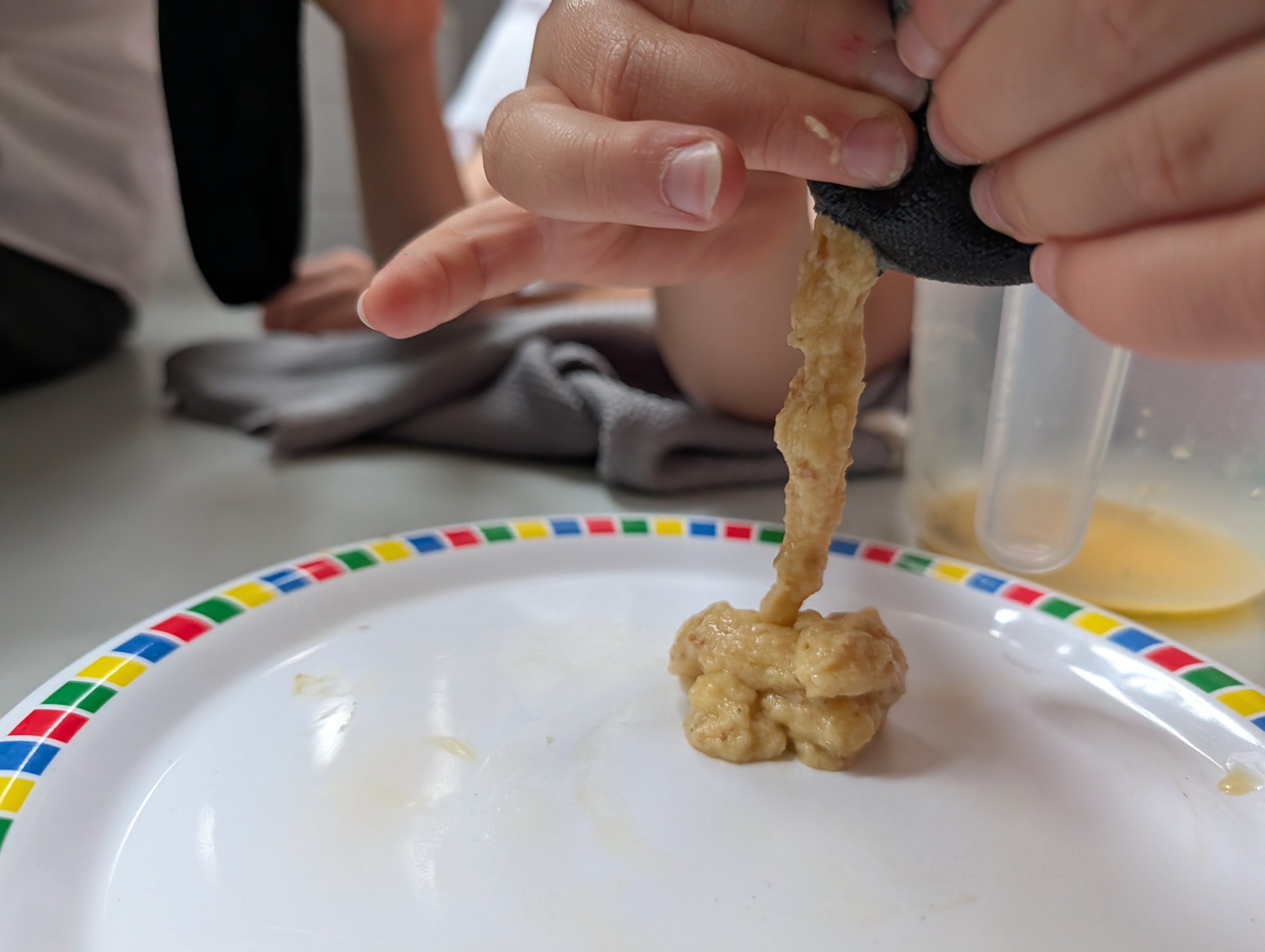 Year 4 science digestion experiment 6